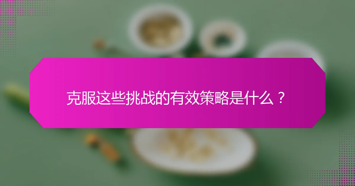 克服这些挑战的有效策略是什么？