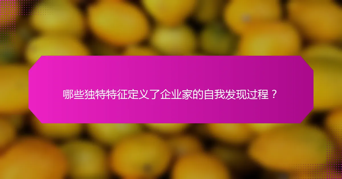 哪些独特特征定义了企业家的自我发现过程？