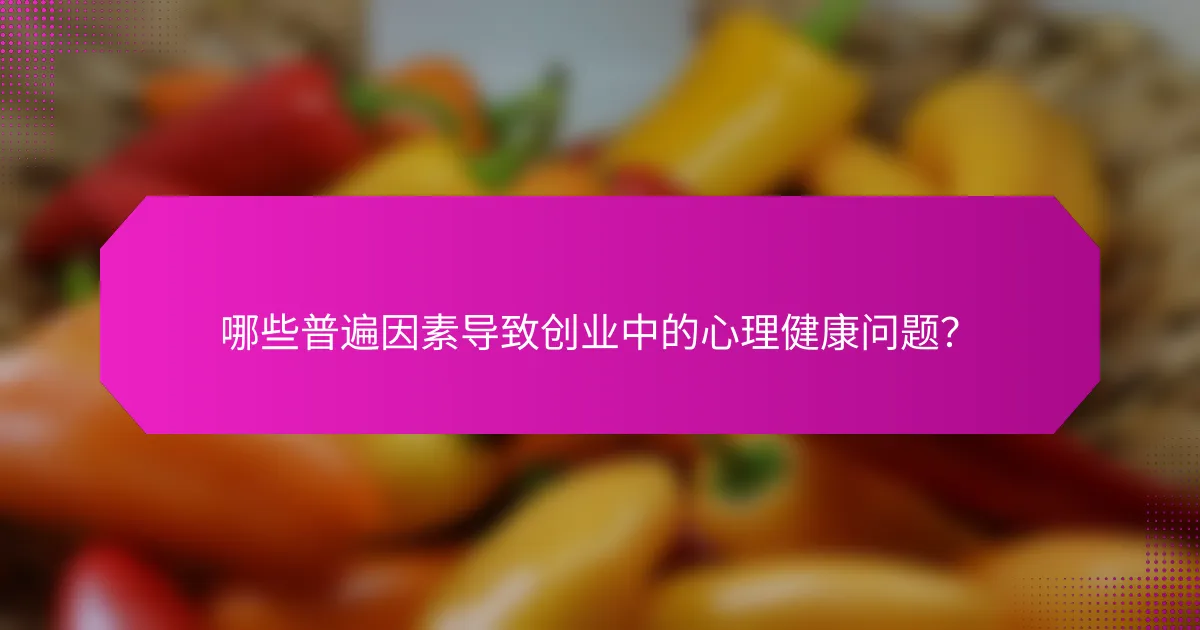 哪些普遍因素导致创业中的心理健康问题？