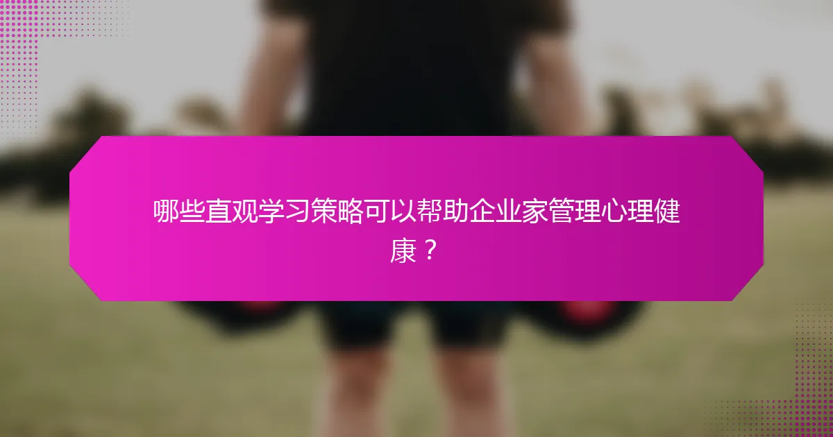 哪些直观学习策略可以帮助企业家管理心理健康？