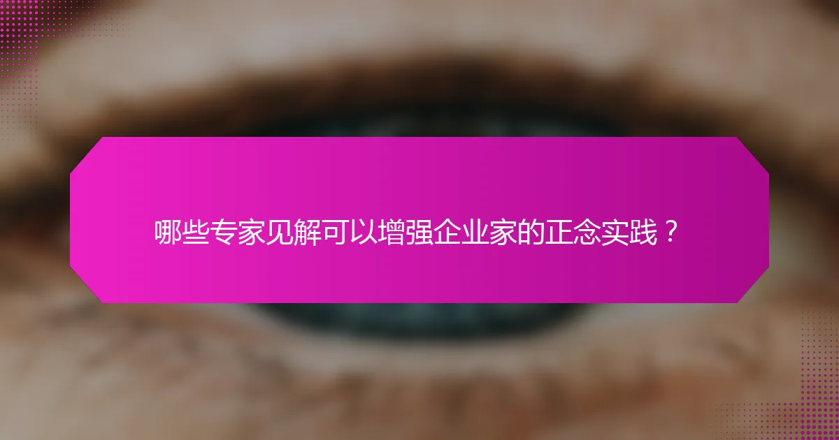 哪些专家见解可以增强企业家的正念实践？