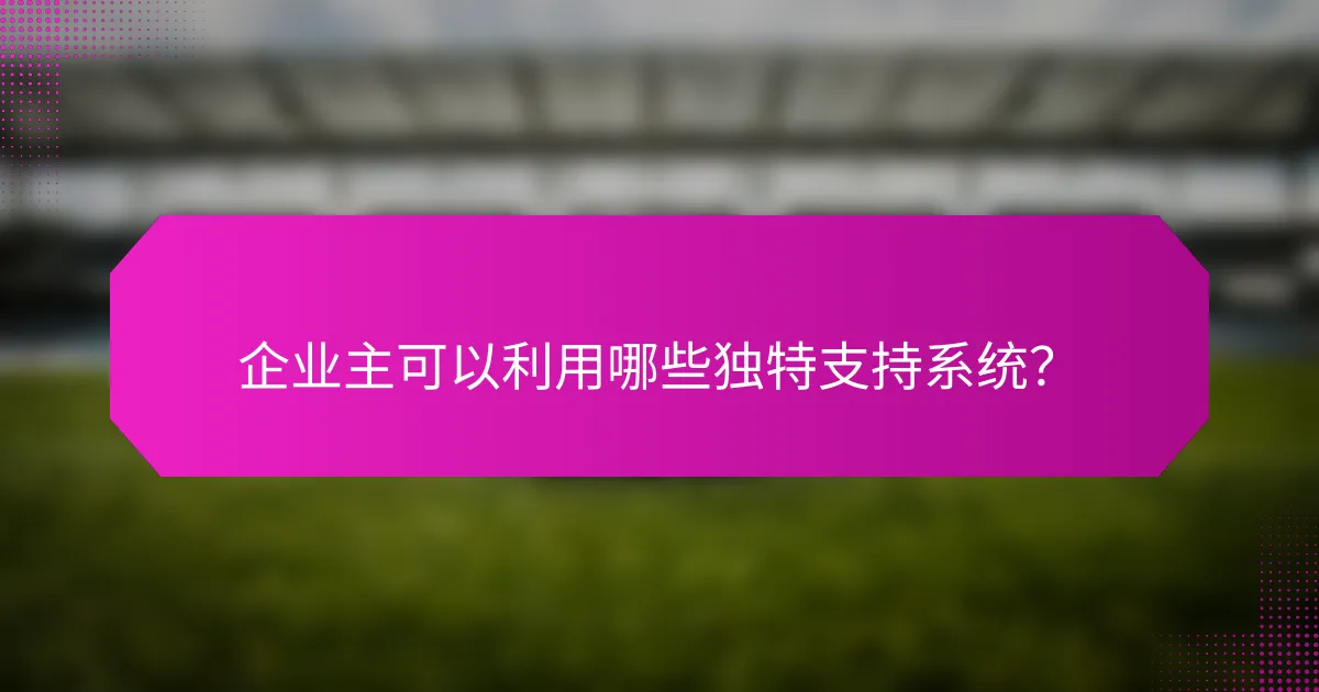 企业主可以利用哪些独特支持系统？