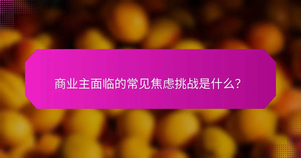 商业主面临的常见焦虑挑战是什么？